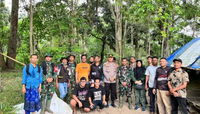 Warga Melihat Harimau Muncul di Pudun Jae, KSDA Tak Temukan Jejak
