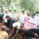 Wabup Tapsel Jafar Syahbuddin Ritonga, bersama Pimpinan DPRD Abdul Basith Dalimunthe, Sekda Sofyan Adil, dan OPD lainnya saat menyaksikan penyembelihan hewan kurban dari Presiden Prabowo usai disalurkan ke masyarakat