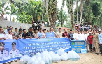 Bupati Tapsel, Gus Irawan Pasaribu, penyerahan bantuan berupa, bibit ikan dan pakannya di kolam air tenang Desa Pargarutan Julu, Kecamatan Angkola Timur