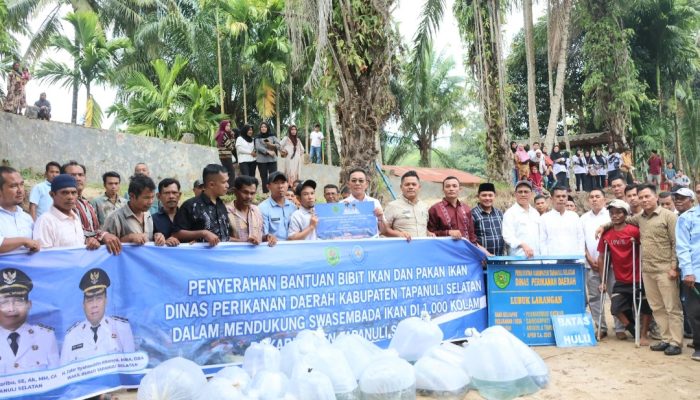 Program 1.000 Kolam Tapsel, Gus Irawan Targetkan 6 Bulan Lagi Panen