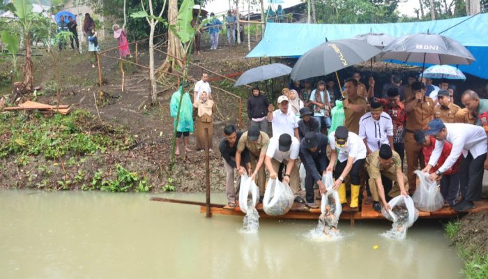 Di Arse dan SDH, Bupati Tapsel Tabur Ribuan Benih Ikan: Dukung Ketahanan Pangan