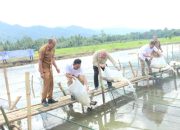 Kunjungi Tapsel, Sabam: Program 1.000 Kolam Bupati Harus Didukung