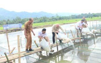 Bupati Tapsel, Gus Irawan Pasaribu, bersama anggota Komisi I DPR RI Sabam Rajagukguk, Wakil Ketua DPRD Abdul Basith Dalimunthe, dan lainnya saat menabur ribuan benih ikan