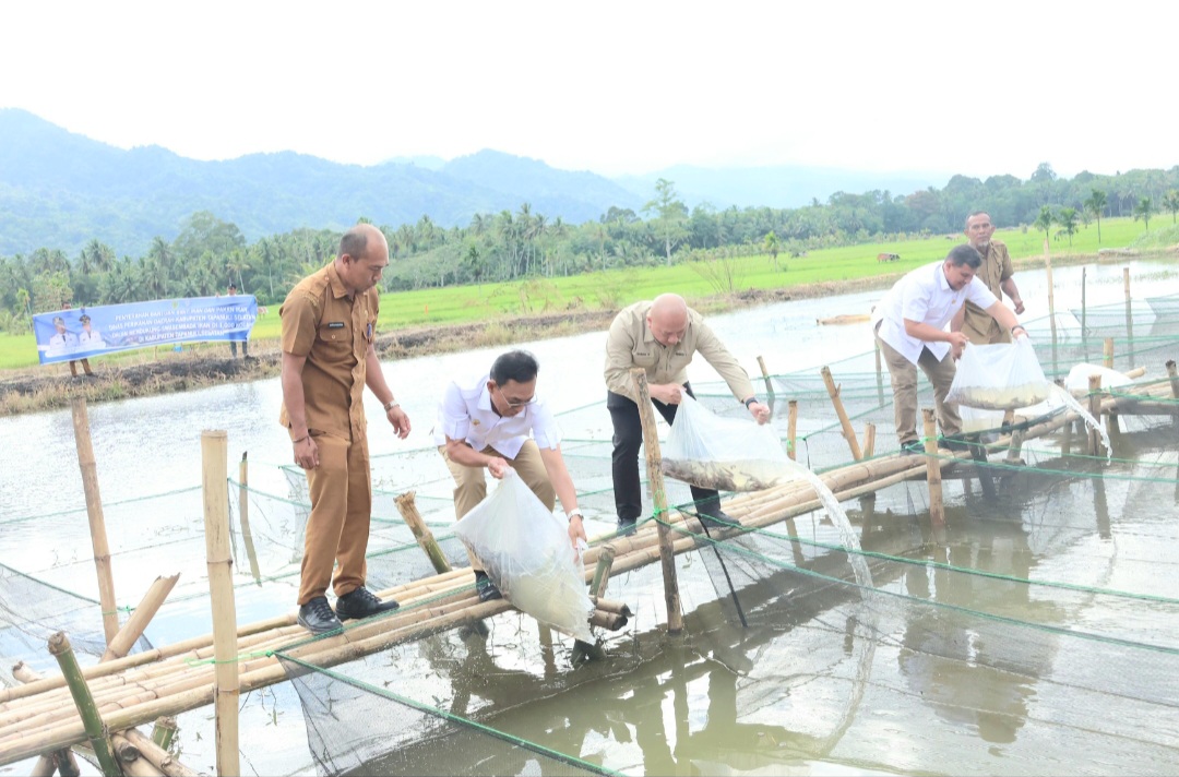 Bupati Tapsel, Gus Irawan Pasaribu, bersama anggota Komisi I DPR RI Sabam Rajagukguk, Wakil Ketua DPRD Abdul Basith Dalimunthe, dan lainnya saat menabur ribuan benih ikan