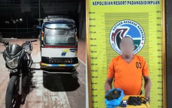 Seorang tukang becak yang kedapatan bawa puluhan paket ganja dengan berat Bruto ratusan Gram berinisial, IFL alias Ucok Botol, saat menunjukkan barang bukti usai ditangkap Tim Opsnal Satresnarkoba Polres Padangsidimpuan