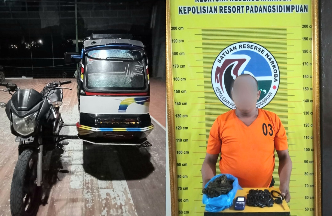 Seorang tukang becak yang kedapatan bawa puluhan paket ganja dengan berat Bruto ratusan Gram berinisial, IFL alias Ucok Botol, saat menunjukkan barang bukti usai ditangkap Tim Opsnal Satresnarkoba Polres Padangsidimpuan