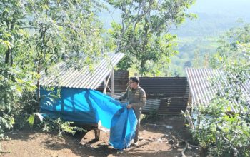Petugas Satpol PP Kota Padangsidimpuan saat menertibkan salah satu Pondok di objek wisata di Tor Simarsayang yang diduga melanggar aturan