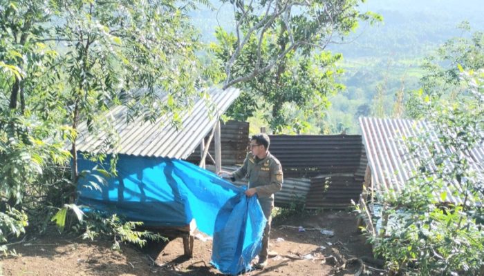 Satpol PP Sidimpuan Tertibkan Pondok di Simarsayang yang Langgar Aturan