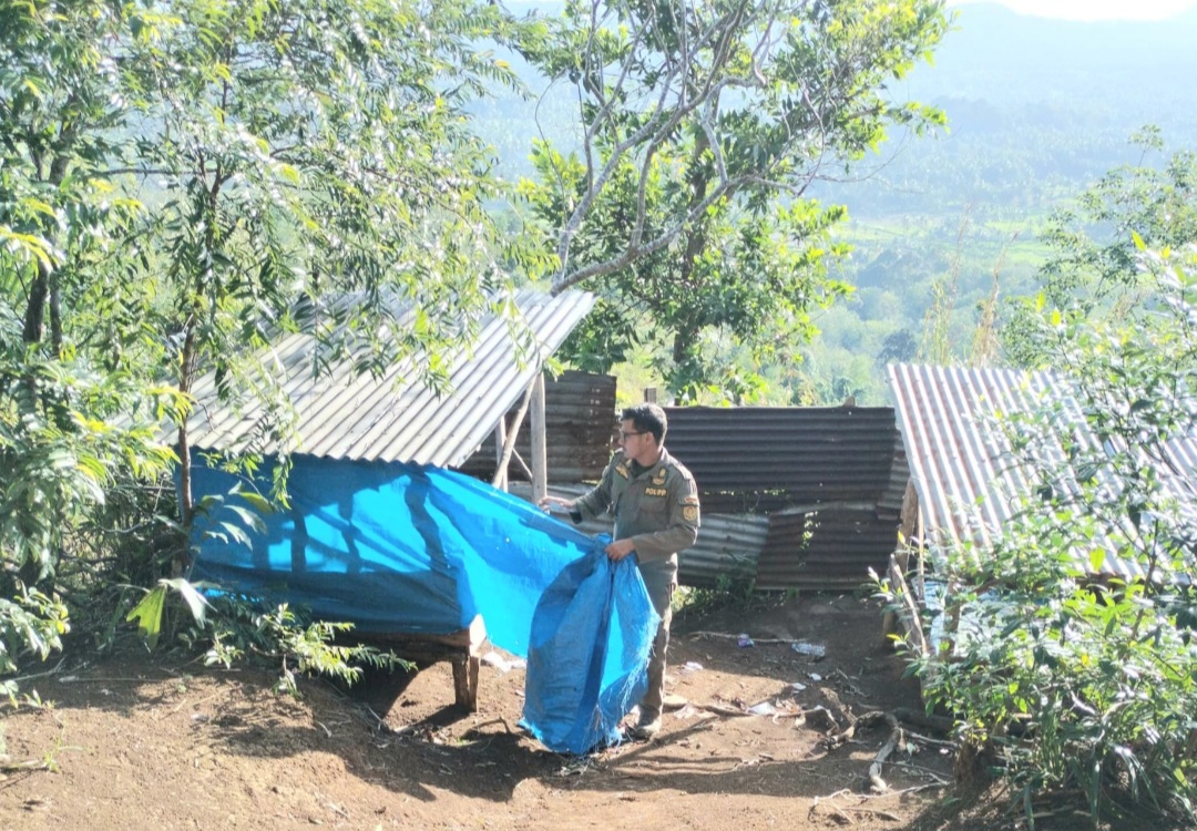 Petugas Satpol PP Kota Padangsidimpuan saat menertibkan salah satu Pondok di objek wisata di Tor Simarsayang yang diduga melanggar aturan
