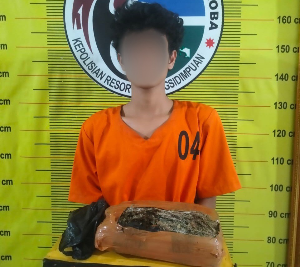 Seorang pemuda berinisial, IRH saat menunjukkan barang bukti berupa narkotika jenis ganja dengan berat Bruto 1.050 Gram atau 1 Kg lebih usai ditangkap Tim Opsnal Sat Resnarkoba Polres Padangsidimpuan