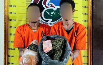 Dua petani asal Kabupaten Madina, AAR dan FS, saat menunjukkan barang bukti 1,1 Kg lebih ganja usai ditangkap Tim Opsnal Satresnarkoba Polres Padangsidimpuan