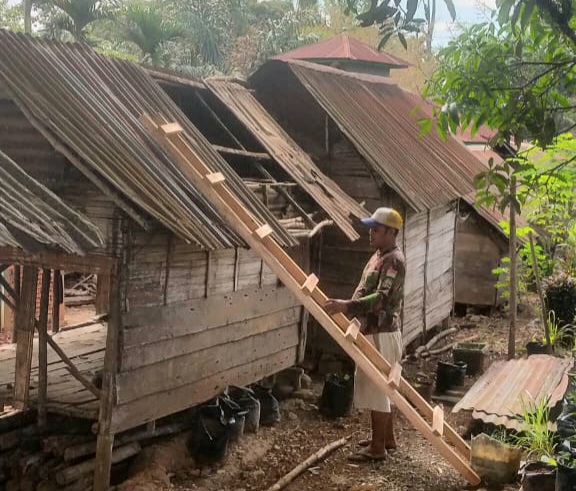 Berikut adalah salah satu Pondok di Panti Jompo Amaliyah yang rencananya akan direnovasi Polsubsektor Batang Onang dalam rangka memperingati Hari Bhayangkara ke-79