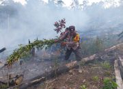 Personel Polsek SD Hole, Polres Tapsel, saat melakukan upaya pemadaman di sebuah lahan yang dibakar oleh pemiliknya untuk mencegah Karhutla