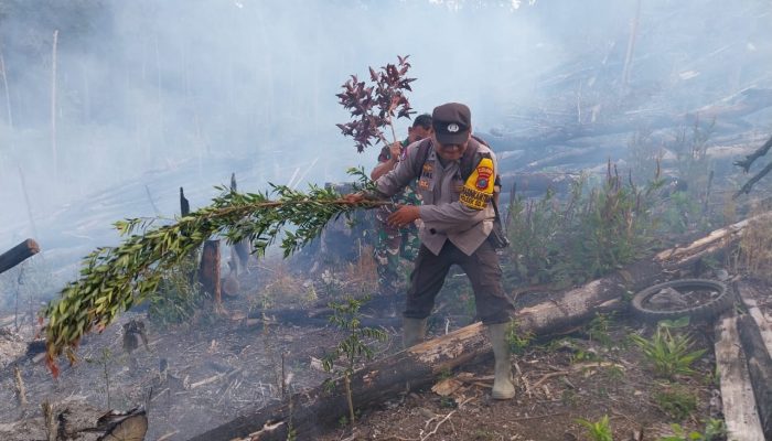 Deteksi Cepat Aplikasi Lancang Kuning, Polres Tapsel Cegah Karhutla di Aek Bilah