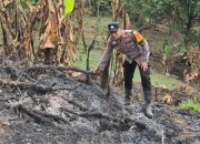 Bhabinkamtibmas Polsek Batang Toru, Brigpol Wendi Pramono, saat melakukan pengecekan titik api yang membakar kawasan lahan di Kelurahan Sangkunur