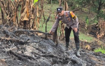 Bhabinkamtibmas Polsek Batang Toru, Brigpol Wendi Pramono, saat melakukan pengecekan titik api yang membakar kawasan lahan di Kelurahan Sangkunur