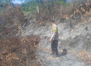 Dibantu Warga, Polsek Padang Bolak Padamkan Kebakaran Lahan 5 Hektar