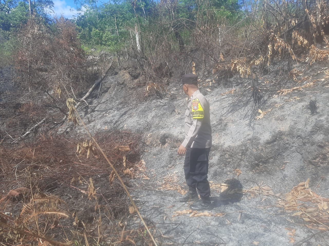 Personel Polsek Padang Bolak saat berjibaku memadamkan api yang membakar perkebunan karet dan sawit di Desa Huta Nopan secara manual