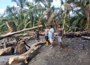Personel Polsek Padang Bolak bersama Manggala Agni dan masyarakat saat mengecek lokasi lahan yang terbakar