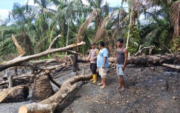 Personel Polsek Padang Bolak bersama Manggala Agni dan masyarakat saat mengecek lokasi lahan yang terbakar