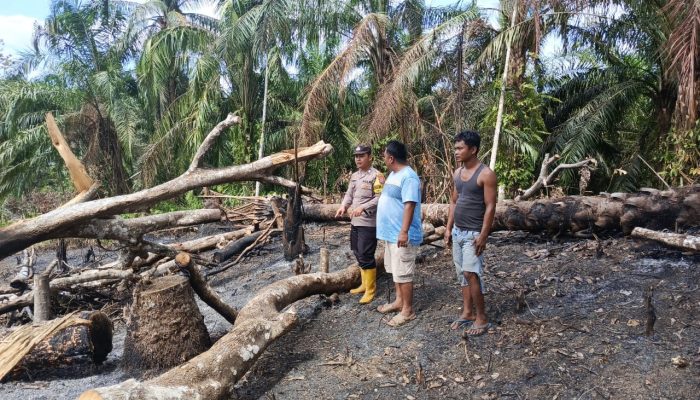 Polsek Padang Bolak Cek Titik Api dan Temukan Lahan Terbakar