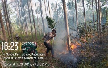 Personel Polsek Padang Bolak saat berjibaku memadamkan api di Desa Pintu Padang
