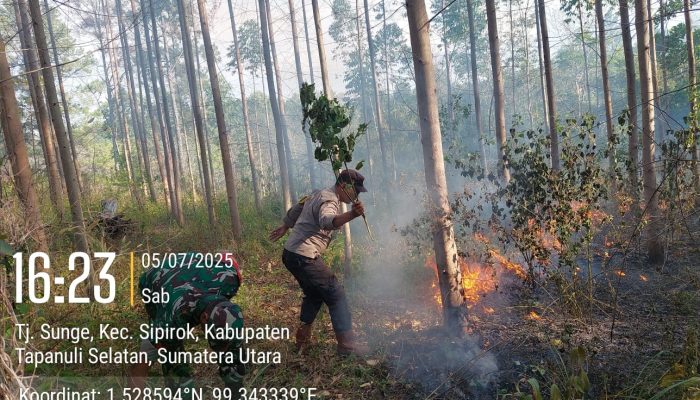 Polsek Padang Bolak Cek Titik Api, Temukan Lahan Terbakar Diduga Akibat Puntung Rokok
