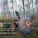 Polsek Padang Bolak Cek Titik Api, Temukan Lahan Terbakar Diduga Akibat Puntung Rokok