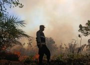 Personel Polsek Padang Bolak saat turun langsung ke lokasi kebakaran lahan Kebun Sawit di Desa Sipaho