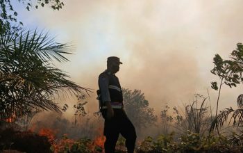 Personel Polsek Padang Bolak saat turun langsung ke lokasi kebakaran lahan Kebun Sawit di Desa Sipaho