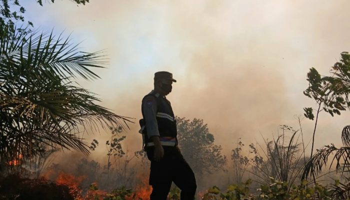 Bersama Damkar dan BPBD, Polsek Padang Bolak Tangani Karhutla