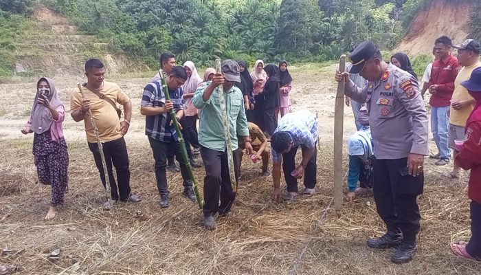 Dukung Ketapang Nasional, Kapolsek Batang Angkola Tanam Jagung Serentak 
