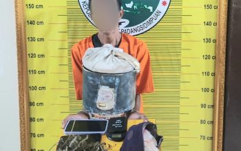 Seorang pria berinisial, N, usai ditangkap Tim Opsnal Sat Resnarkoba Polres Padangsidimpuan bersama barang bukti narkotika jenis ganja yang sebelumnya disimpan di dalam Magic Com