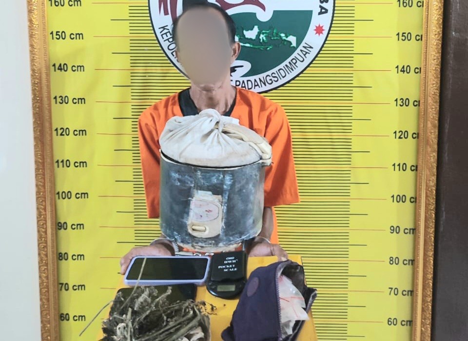 Seorang pria berinisial, N, usai ditangkap Tim Opsnal Sat Resnarkoba Polres Padangsidimpuan bersama barang bukti narkotika jenis ganja yang sebelumnya disimpan di dalam Magic Com