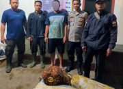 Personel Polsek Batang Toru mengamankan seorang pria berinisial, Y berikut barang bukti, yang diduga melakukan pencurian buah sawit dengan berat total 110 Kg usai diserahkan Satpam PTPN IV Regional I Kebun Hapesong