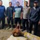 Polsek Batang Toru Amankan Pencuri Sawit di PTPN IV Kebun Hapesong