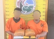 Seorang pria yang diduga sebagai pengedar ganja seberat 2,1 Kg berinisial, ST bersama kurirnya, SH, yang sudah ditangkap Tim Opsnal Sat Resnarkoba Polres Padangsidimpuan berikut barang bukti
