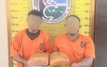 Seorang pria yang diduga sebagai pengedar ganja seberat 2,1 Kg berinisial, ST bersama kurirnya, SH, yang sudah ditangkap Tim Opsnal Sat Resnarkoba Polres Padangsidimpuan berikut barang bukti