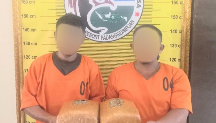 Ganja 2,1 Kg Belum Sempat Beredar, Pengedar dan Kurir Keburu Ditangkap