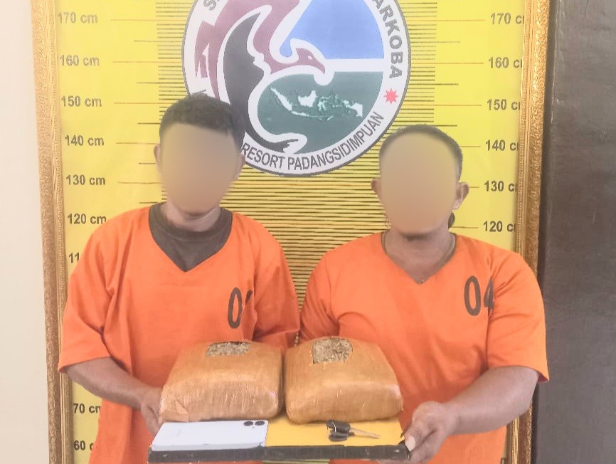 Seorang pria yang diduga sebagai pengedar ganja seberat 2,1 Kg berinisial, ST bersama kurirnya, SH, yang sudah ditangkap Tim Opsnal Sat Resnarkoba Polres Padangsidimpuan berikut barang bukti