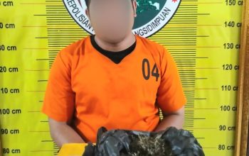 Seorang pria berinisial, FT alias UKB, usai ditangkap Tim Opsnal Sat Resnarkoba Polres Padangsidimpuan bersama barang bukti narkotika jenis ganja seberat 80 Gram