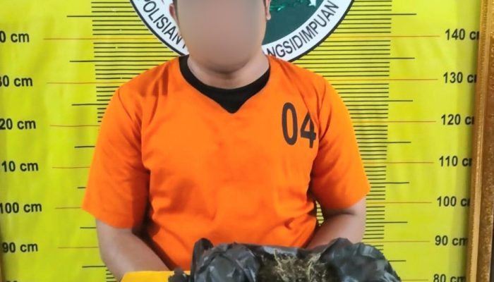 Bukannya Tobat, Residivis Kembali Ditangkap Berikut 80 Gram Ganja
