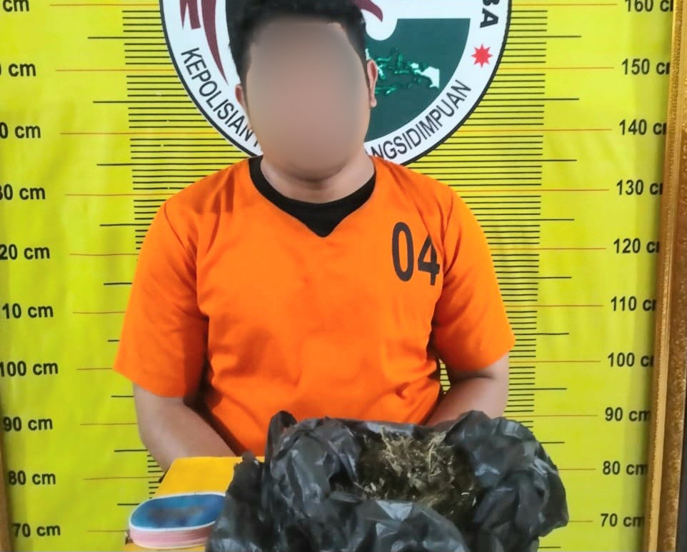 Seorang pria berinisial, FT alias UKB, usai ditangkap Tim Opsnal Sat Resnarkoba Polres Padangsidimpuan bersama barang bukti narkotika jenis ganja seberat 80 Gram