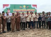 Dukung program ketahanan pangan Nasional, Kapolres Asahan, AKBP Revi Nurvelani, bersama perkebunan PT BSP Tbk Kisaran menanam jagung di lahan seluas 20 Hektar