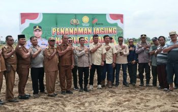 Dukung program ketahanan pangan Nasional, Kapolres Asahan, AKBP Revi Nurvelani, bersama perkebunan PT BSP Tbk Kisaran menanam jagung di lahan seluas 20 Hektar