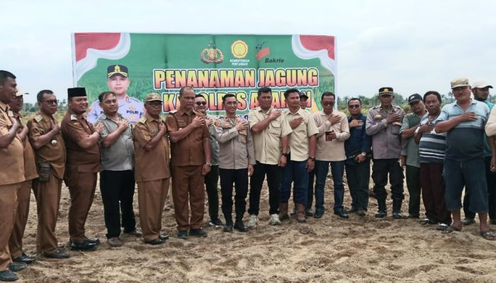 Sinergi Polres Asahan dan PT BSP: Tanam Jagung di Lahan 20 Hektar