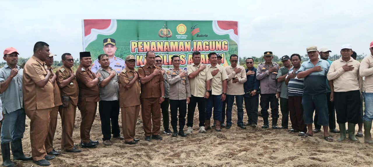 Dukung program ketahanan pangan Nasional, Kapolres Asahan, AKBP Revi Nurvelani, bersama perkebunan PT BSP Tbk Kisaran menanam jagung di lahan seluas 20 Hektar
