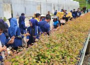 Mahasiswa UGN Padangsidimpuan diajak melihat Central Nursery yaitu, pusat pembibitan tanaman yang menjadi salah satu tulang punggung keberlanjutan bahan baku TPL
