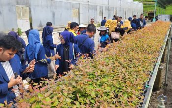 Mahasiswa UGN Padangsidimpuan diajak melihat Central Nursery yaitu, pusat pembibitan tanaman yang menjadi salah satu tulang punggung keberlanjutan bahan baku TPL