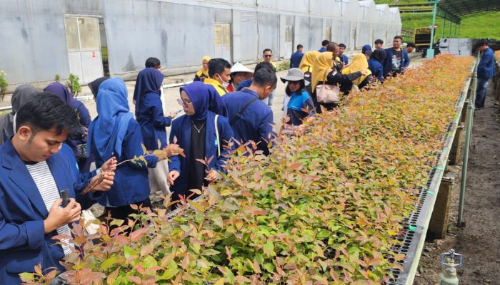 Tepis Isu Negatif, TPL Ajak UGN Padangsidimpuan Tinjau Pabrik